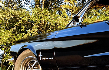 Location à partir de 390 €